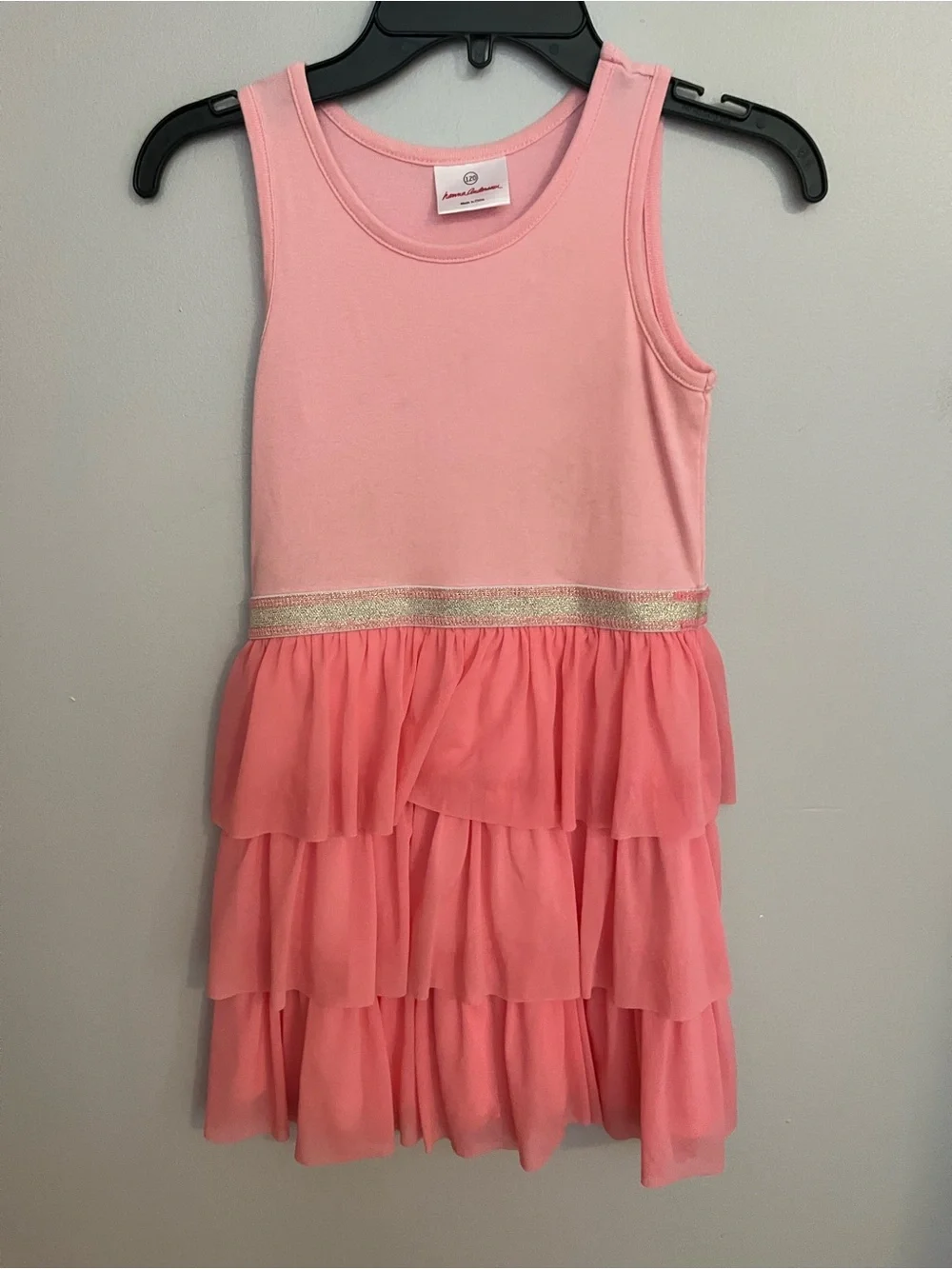 Hanna Andersson Pink Tiered Tulle Dress with Gold Waistband
